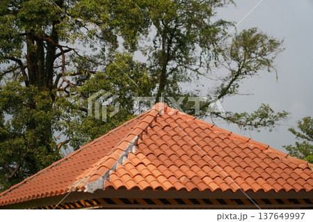 Orange Tile Roof with Green Trees Overhead 137649997