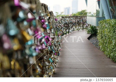 Love Locks on a Bridge in Singapore Beautiful View Love Locks on a Bridge in Singapore Beautiful View 137650005