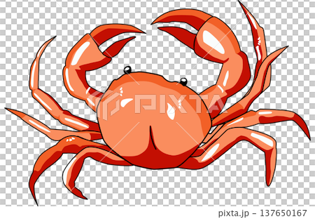 Illustration of a red Crab in a cartoon style isolated Illustration of a red Crab in a cartoon style isolated 137650167