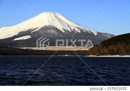 3月、山中湖岸の風景 (撮影地：山中湖岸) 137651035
