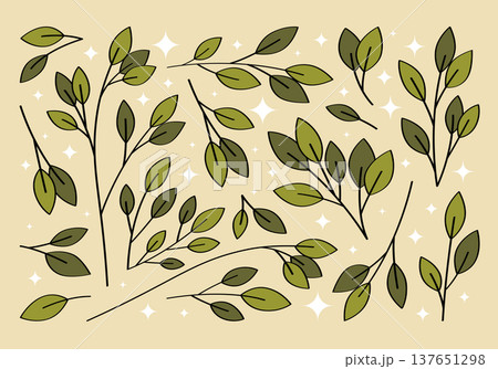 Set of hand drawn branches and leaves of bushes and trees. Aesthetic collection of plant icons. Ideal for decorating and framing flyers, greeting cards, stickers, posters, invitations, social media. Set of hand drawn branches and leaves of bushes and trees. Aesthetic collection of plant icons. Ideal for decorating and framing flyers, greeting cards, stickers, posters, invitations, social media. 137651298