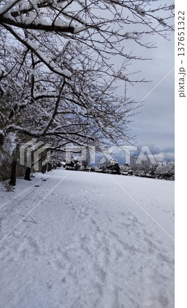 雪の公園 雪の公園 137651322