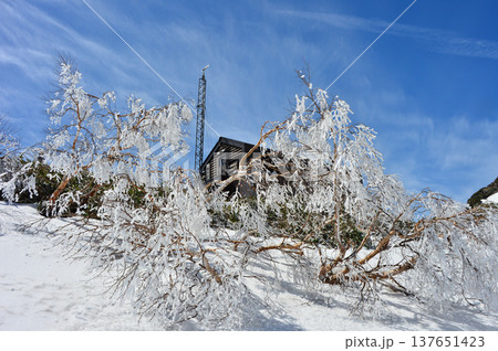 早春の越後駒ケ岳の樹氷と駒の小屋 早春の越後駒ケ岳の樹氷と駒の小屋 137651423