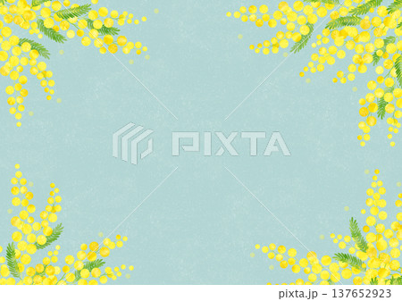 ミモザ　水彩風　背景素材　フレーム 137652923