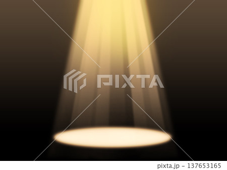 スポットライトの当たったステージ 137653165