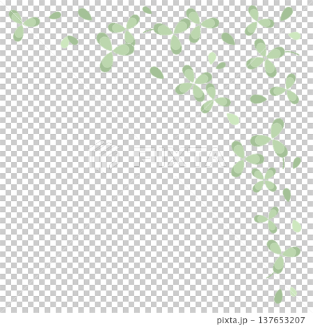 苜 137653207