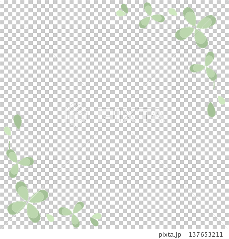 クローバー クローバー 137653211
