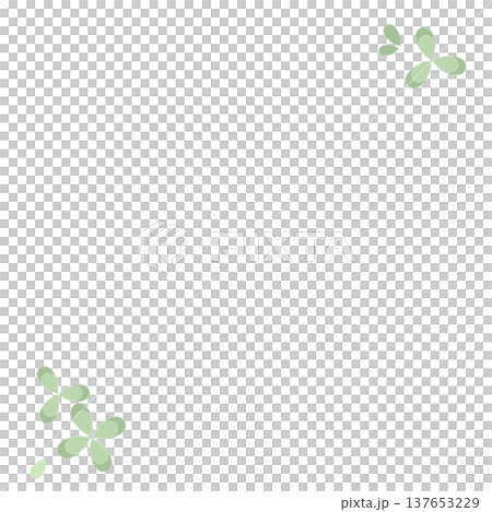 クローバー クローバー 137653229
