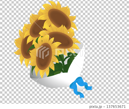 向日葵の花束のイラスト(水色リボン) 向日葵の花束のイラスト(水色リボン) 137653671