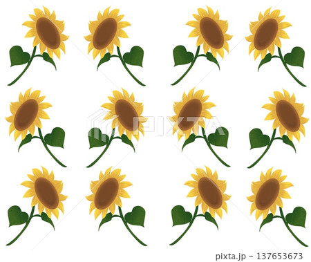 向日葵の背景 向日葵の背景 137653673