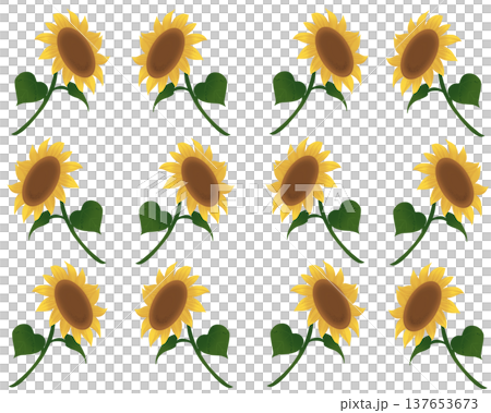 向日葵背景 向日葵背景 137653673