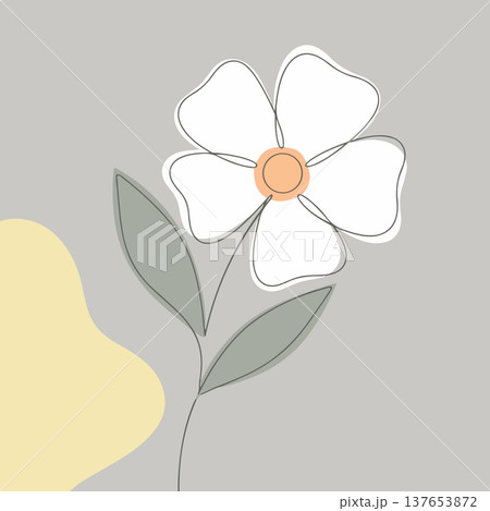 Minimalist White Flower Illustration 137653872