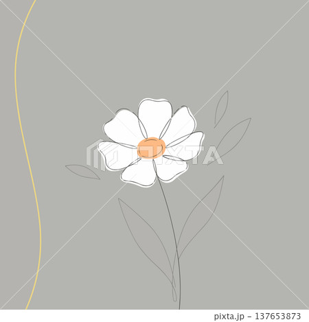 Minimalist Daisy Illustration on Gray 137653873