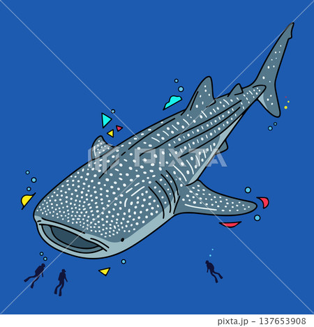 Whale Shark with Divers 137653908