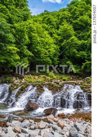 新緑のせせらぎ街道「平滝」《岐阜県 高山市 清見町》 137654087