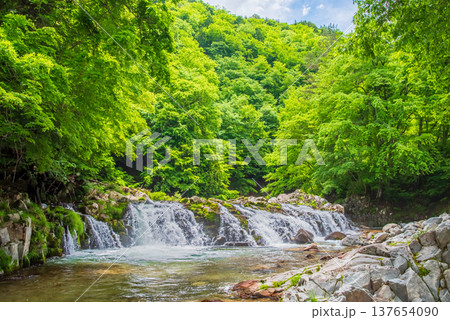 新緑のせせらぎ街道「平滝」《岐阜県 高山市 清見町》 新緑のせせらぎ街道「平滝」《岐阜県 高山市 清見町》 137654090