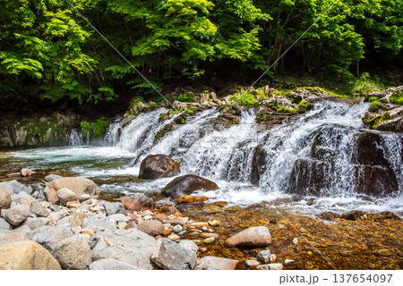 新緑のせせらぎ街道「平滝」《岐阜県 高山市 清見町》 137654097