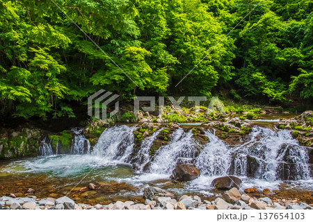 新緑のせせらぎ街道「平滝」《岐阜県 高山市 清見町》 新緑のせせらぎ街道「平滝」《岐阜県 高山市 清見町》 137654103