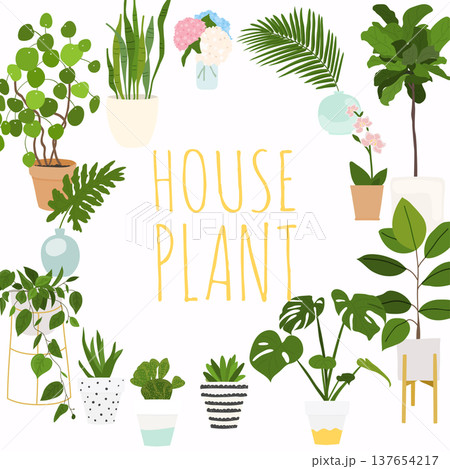 House plants. Flowerpot isolated objects, houseplant flower pot collection. House plants. Flowerpot isolated objects, houseplant flower pot collection. 137654217