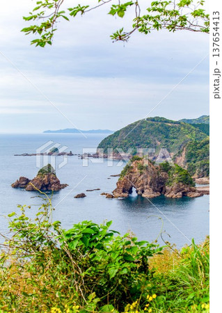 熊本県天草 ぞうさん岩の愛称で親しまれる妙見浦 熊本県天草 ぞうさん岩の愛称で親しまれる妙見浦 137654413