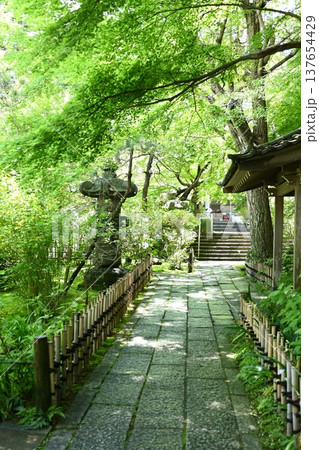 新緑萌える安国論寺 新緑萌える安国論寺 137654429
