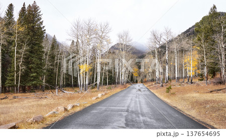 Road in Rocky Mountain National Park, Colorado, USA. Road in Rocky Mountain National Park, Colorado, USA. 137654695