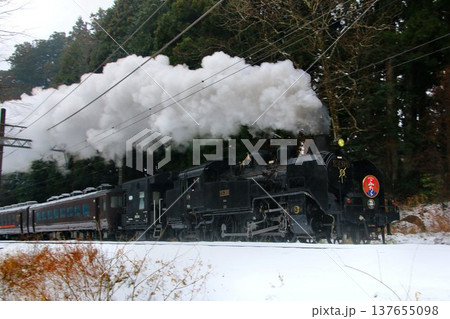 雪化粧の登り勾配・日光路を力走する…【SL大樹ふたら】C11325 137655098