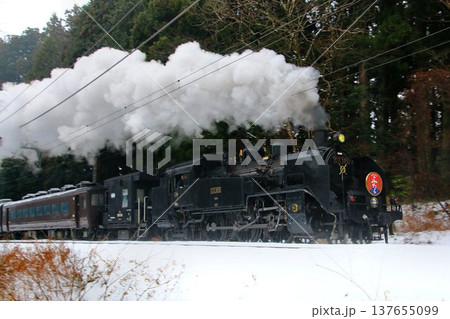 雪化粧の登り勾配・日光路を力走する…【SL大樹ふたら】C11325 137655099