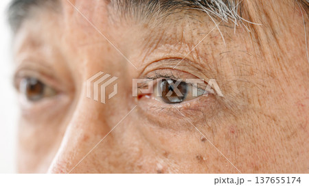 シニア男性　目元 137655174