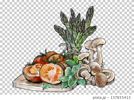 野菜と茸 野菜と茸 137655413