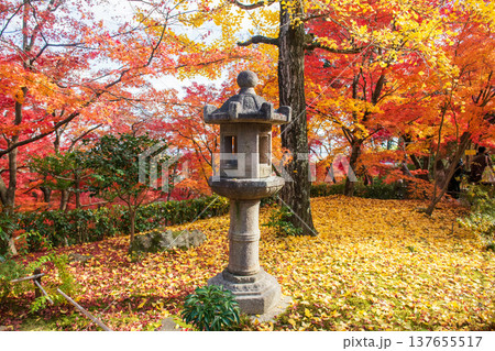 lantern by fallen ginkgo and fall maple leaf at Ryoanji temple, Kyoto lantern by fallen ginkgo and fall maple leaf at Ryoanji temple, Kyoto 137655517