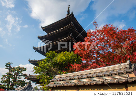 Iconic Yasaka pagoda of Hokanji temple in autumn leaf, Kyoto 137655521