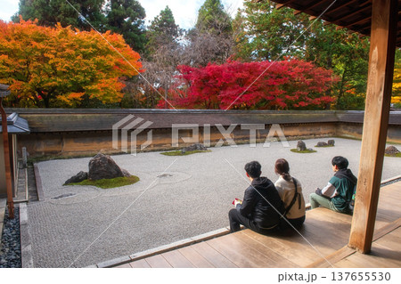 Japanese Family view rock garden and fall leaf at Ryoanji, Kyoto 137655530