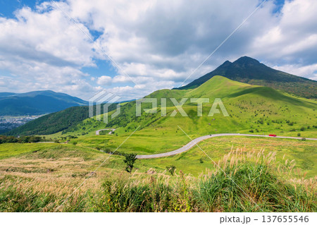 Aerial view of car and bus on silky road by Mount Yufu, Yufuin 137655546