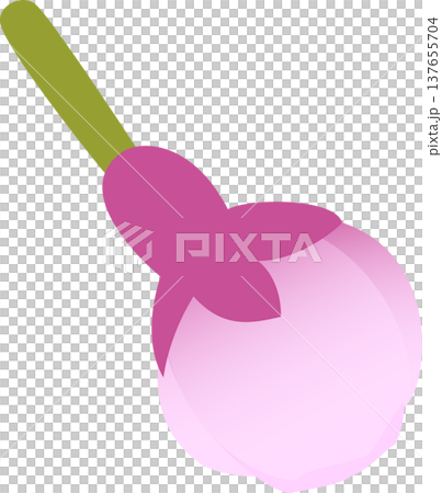 桜花一輪 つぼみ 桜花一輪 つぼみ 137655704