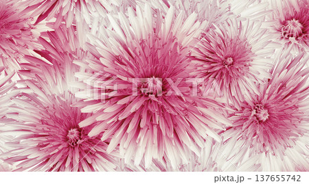 Seamless floral background. Flower dandelion and petals. Close up. Seamless floral background. Flower dandelion and petals. Close up. 137655742