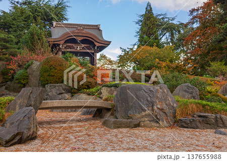 Traditional Japanese garden with temple gate and autumn foliage Traditional Japanese garden with temple gate and autumn foliage 137655988