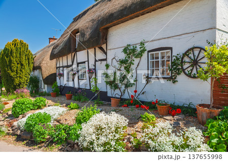 English style thatched roof cottage with colorful garden English style thatched roof cottage with colorful garden 137655998