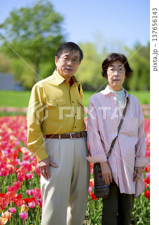 満開のチューリップ畑で記念写真を撮るシニアの夫婦(強化レタッチ) 満開のチューリップ畑で記念写真を撮るシニアの夫婦(強化レタッチ) 137656143