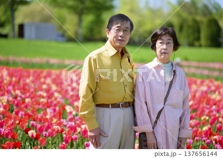 満開のチューリップ畑で記念写真を撮るシニアの夫婦(強化レタッチ) 満開のチューリップ畑で記念写真を撮るシニアの夫婦(強化レタッチ) 137656144