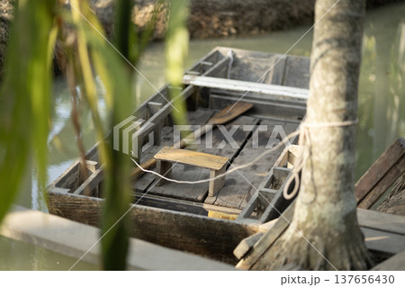 Wooden boats in a small canal in a betel nut plantation. 137656430