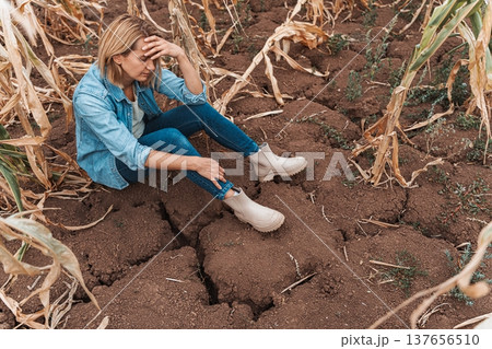 Sad farmer sitting in dry cracked field with damaged corn crop Sad farmer sitting in dry cracked field with damaged corn crop 137656510