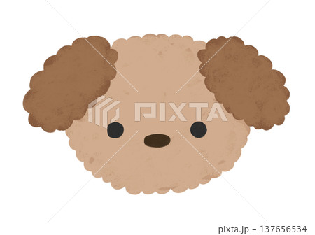 かわいい トイプードル イラスト 137656534