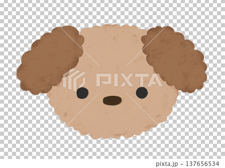 かわいい トイプードル イラスト 137656534