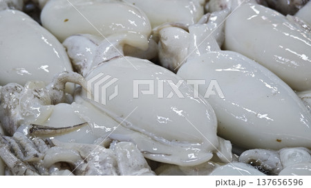 Fresh squid at the seafood market. Fresh squid at the seafood market. 137656596