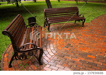Empty Benches in City Park After Rain Empty Benches in City Park After Rain 137656686
