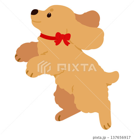 ジャンプする可愛いイングリッシュコッカースパニエルのイラスト(赤いリボン)　主線なし 137656917