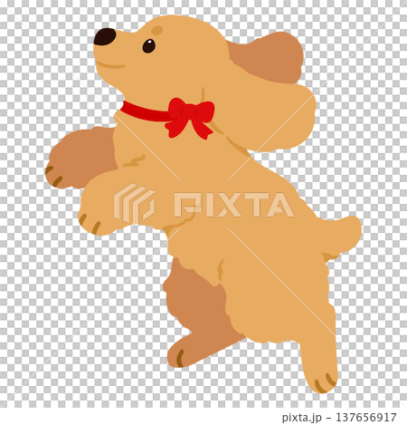 ジャンプする可愛いイングリッシュコッカースパニエルのイラスト(赤いリボン)　主線なし 137656917