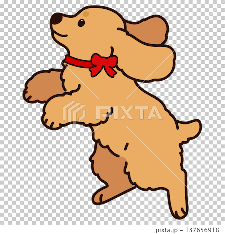 A cute illustration of a jumping English Cocker Spaniel (with a red ribbon), with outlines. 137656918