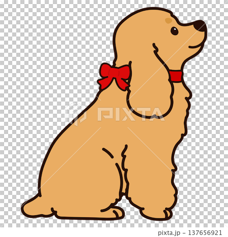 横を向いてお座りするシンプルで可愛いイングリッシュコッカースパニエルのイラスト　赤いリボン　主線あり 137656921